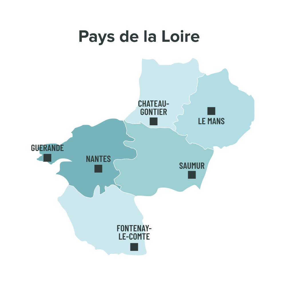 Carte des villes éligibles à la loi Malraux en Pays de la Loire