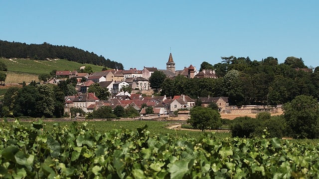 vigne éligible loi malraux bougogne franche comte