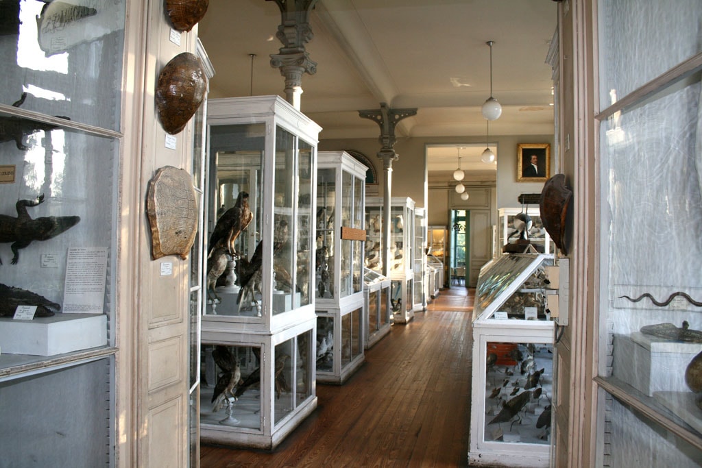 Musée proche des immeubles loi malraux bordeaux